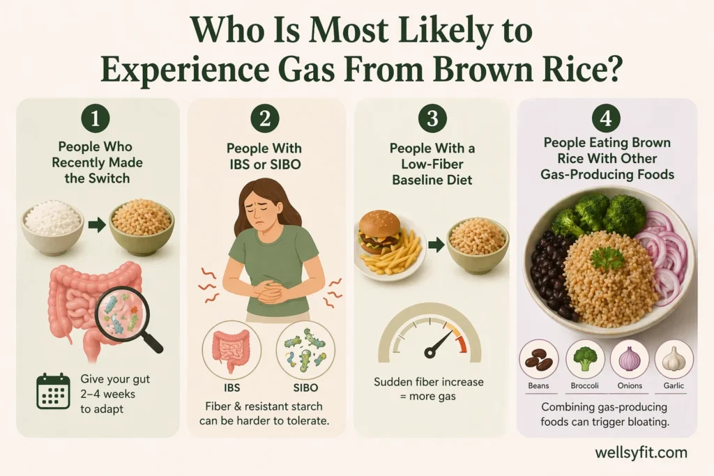 Who Is Most Likely to Experience Gas From Brown Rice